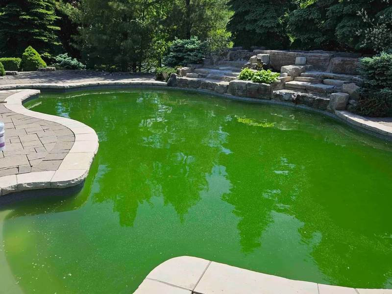 Green to Clean Result 13