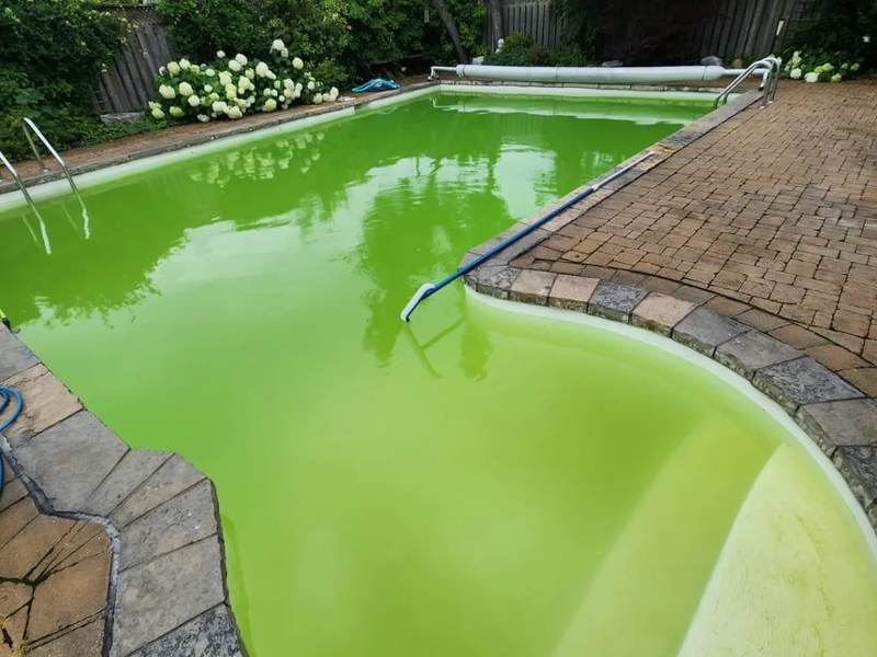 Green to Clean Result 3